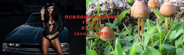 ешки Ростов