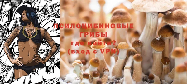 ешки Ростов