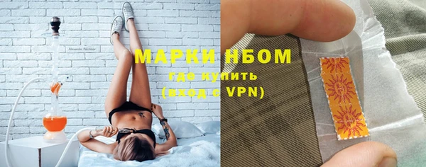 твердый Протвино