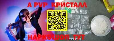 сатива Аргун