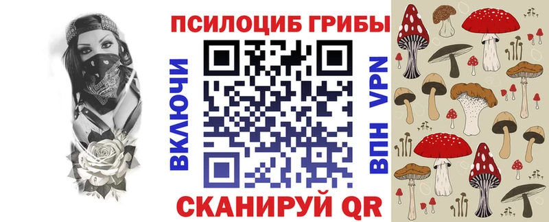 Псилоцибиновые грибы прущие грибы  купить наркоту  Дербент 