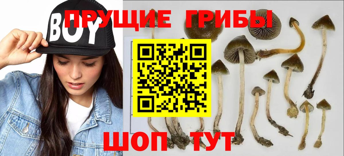 Галлюциногенные грибы Magic Shrooms  Галлюциногенные грибы Magic Shrooms  Дербент 
