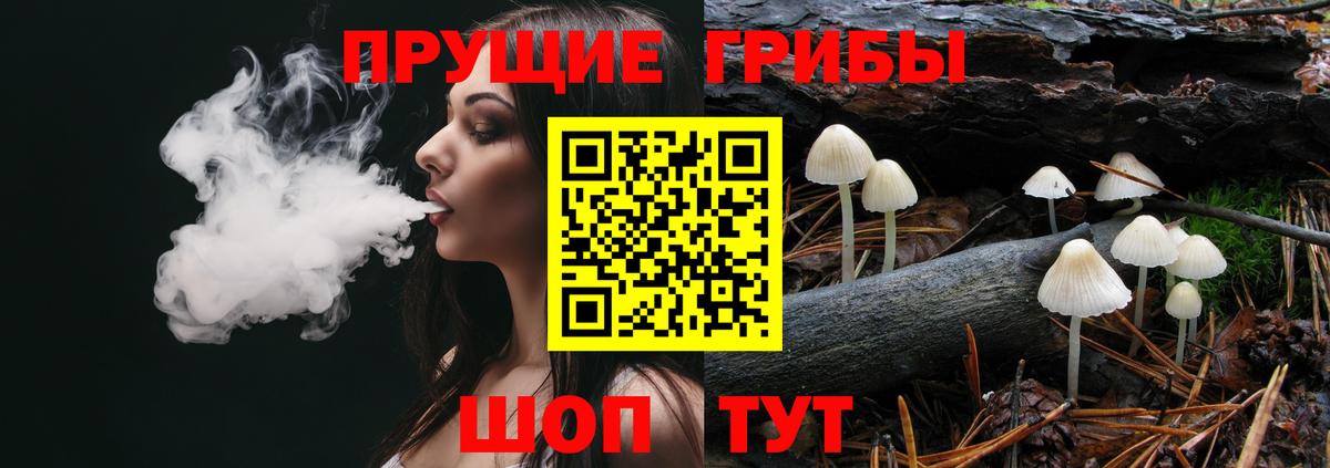 Псилоцибиновые грибы Cubensis  Вход с VPN  Дербент  Галлюциногенные грибы MAGIC MUSHROOMS 