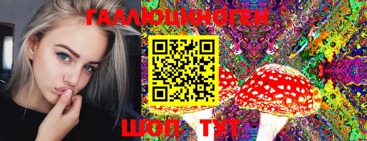 Псилоцибиновые грибы GOLDEN TEACHER Дербент