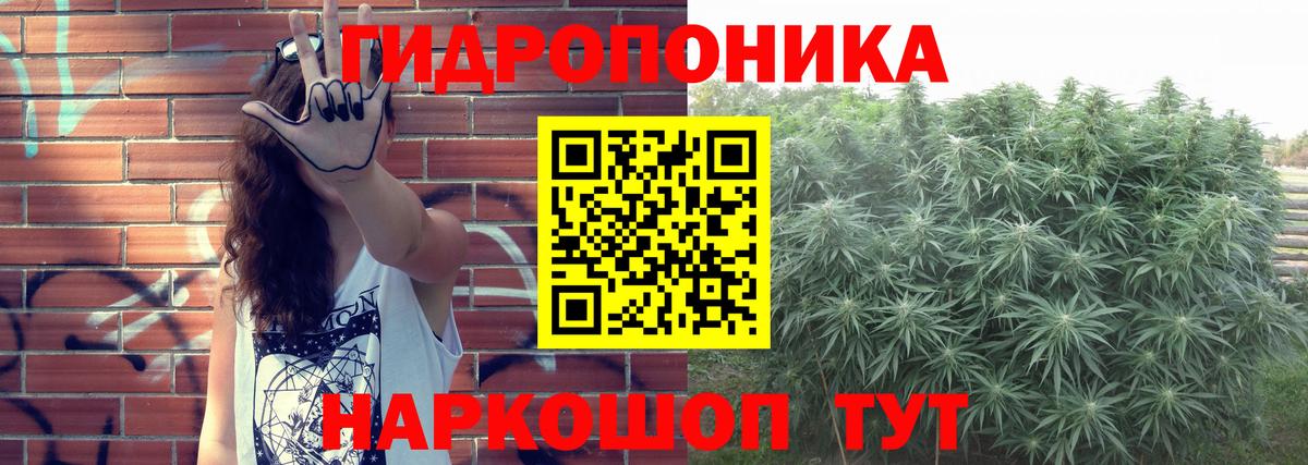 Шишки марихуана Bruce Banner Дербент